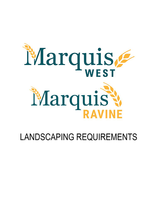 Landscaping Guide